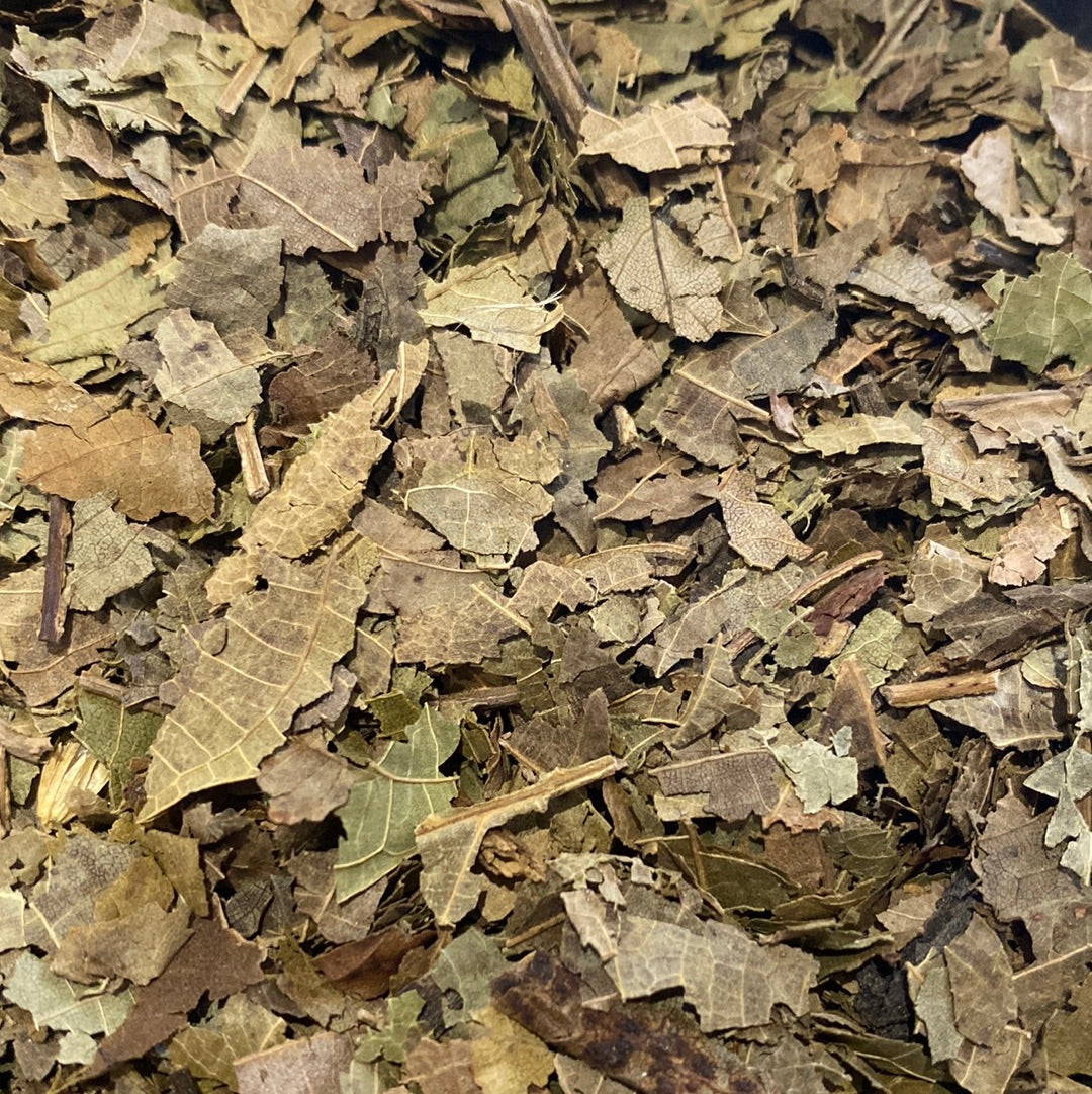 Walnut Leaves (Juglans Regia)