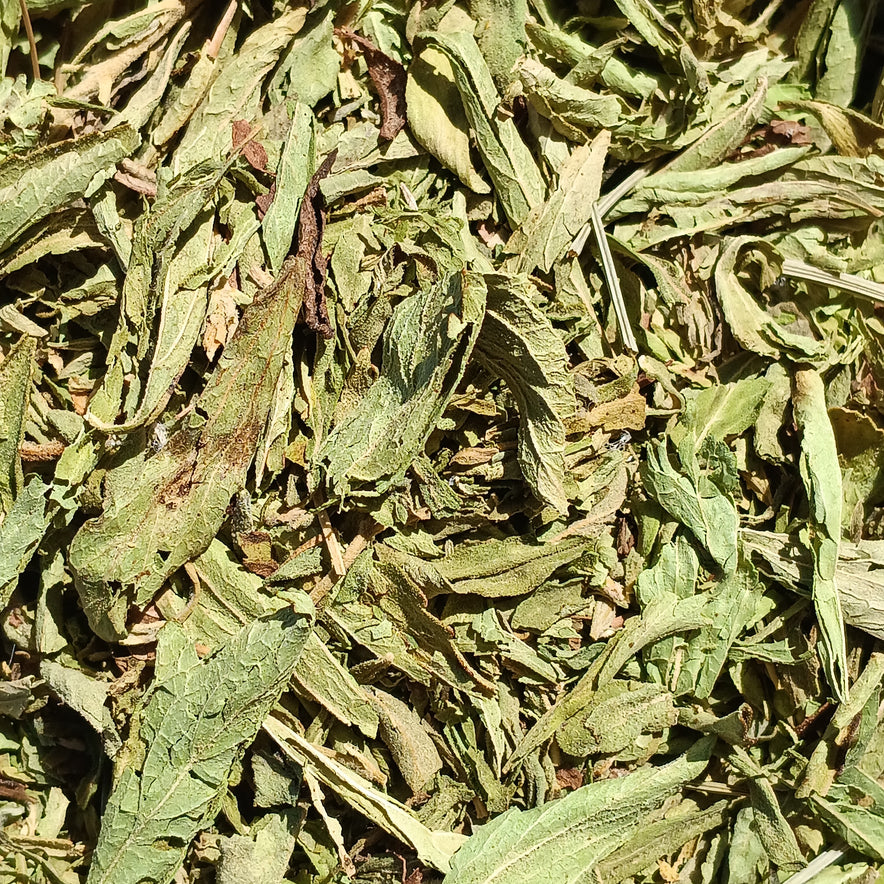 Image for Stevia Leaves (Herbal Sweetener) | Organic