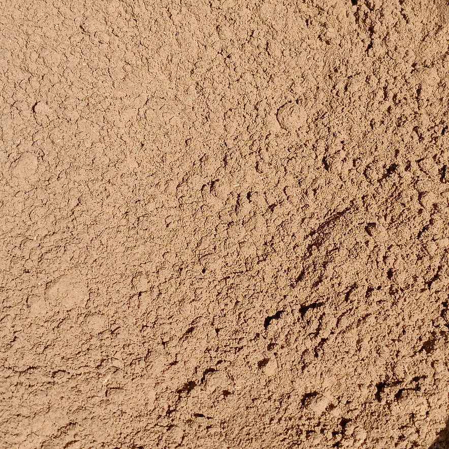 Image for Brahmi Powder (Bacopa Monnieri) | Bio