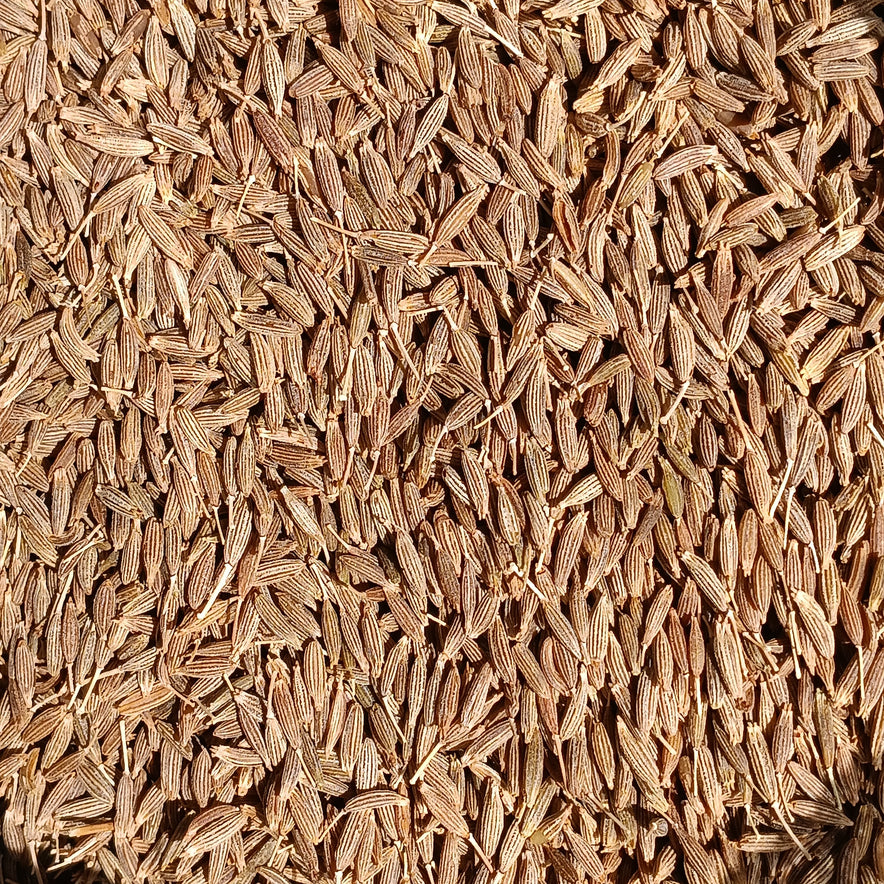 Image for Cumin Seeds (Cuminum Cyminum) - Organic