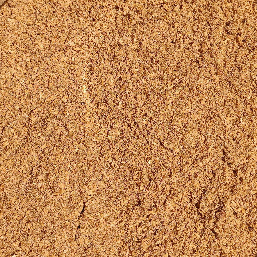 Image for Coriander Powder (Coriandrum Sativum) | Organic