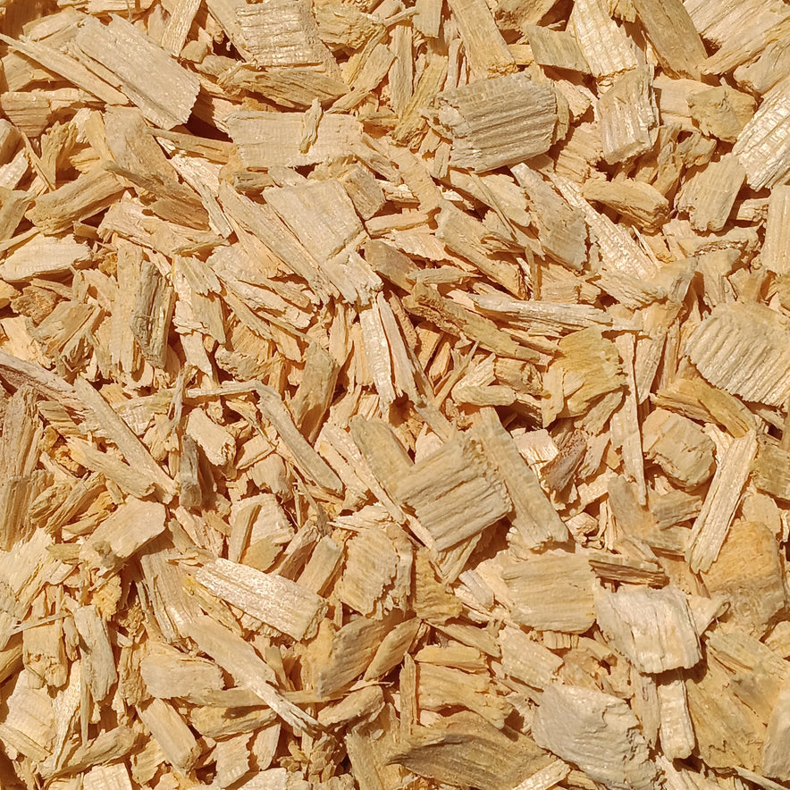 Image for Πικρόξυλο (Quassia Amara)