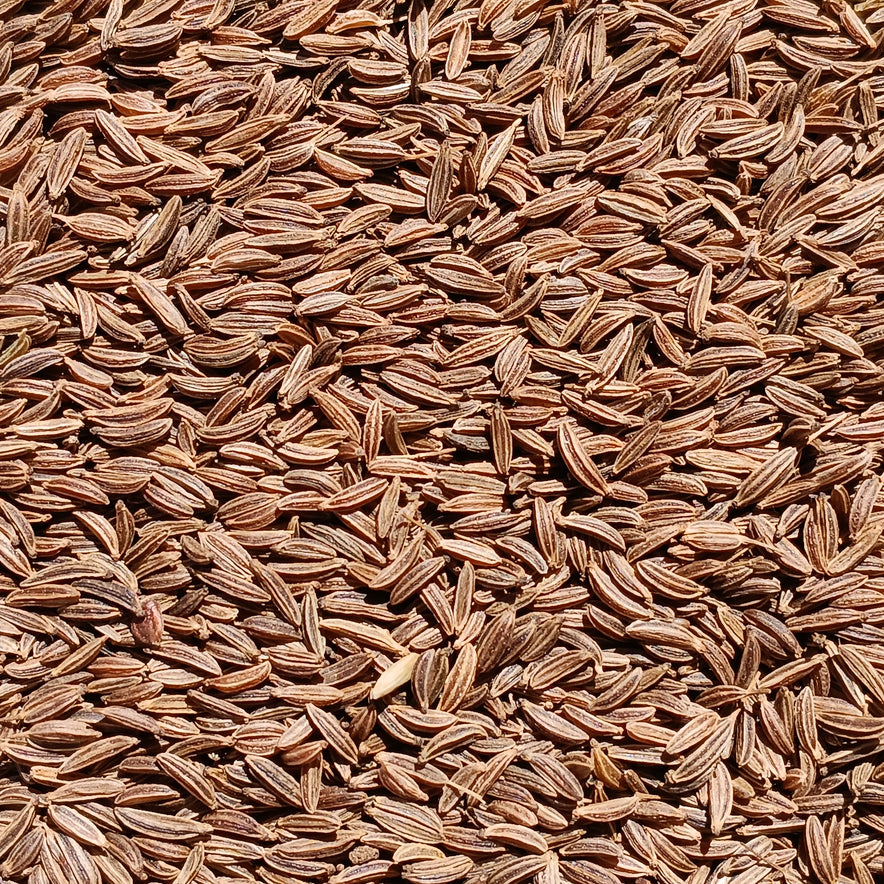 Image for Caraway / Kümmel Seeds (Carum Carvi) I Organic