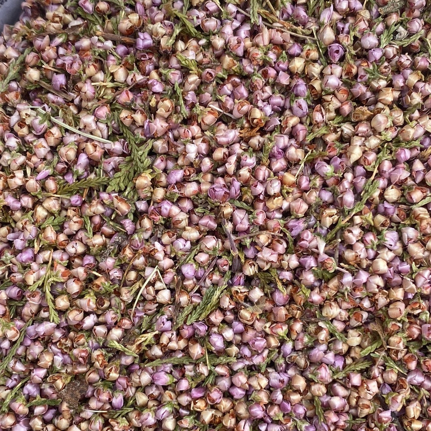 Image for <tc>Έρικα Άνθη (Calluna Vulgaris)</tc>