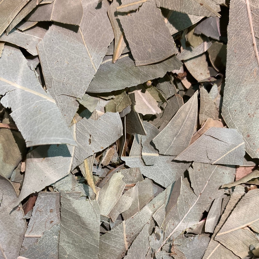 Image for Cretan Eucalyptus Leaves
