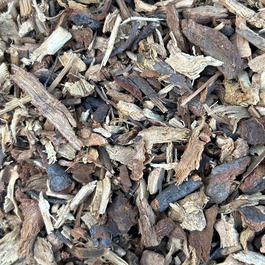 Image for Υδράγγεια / Ορτανσία Ρίζα (Arborescens)