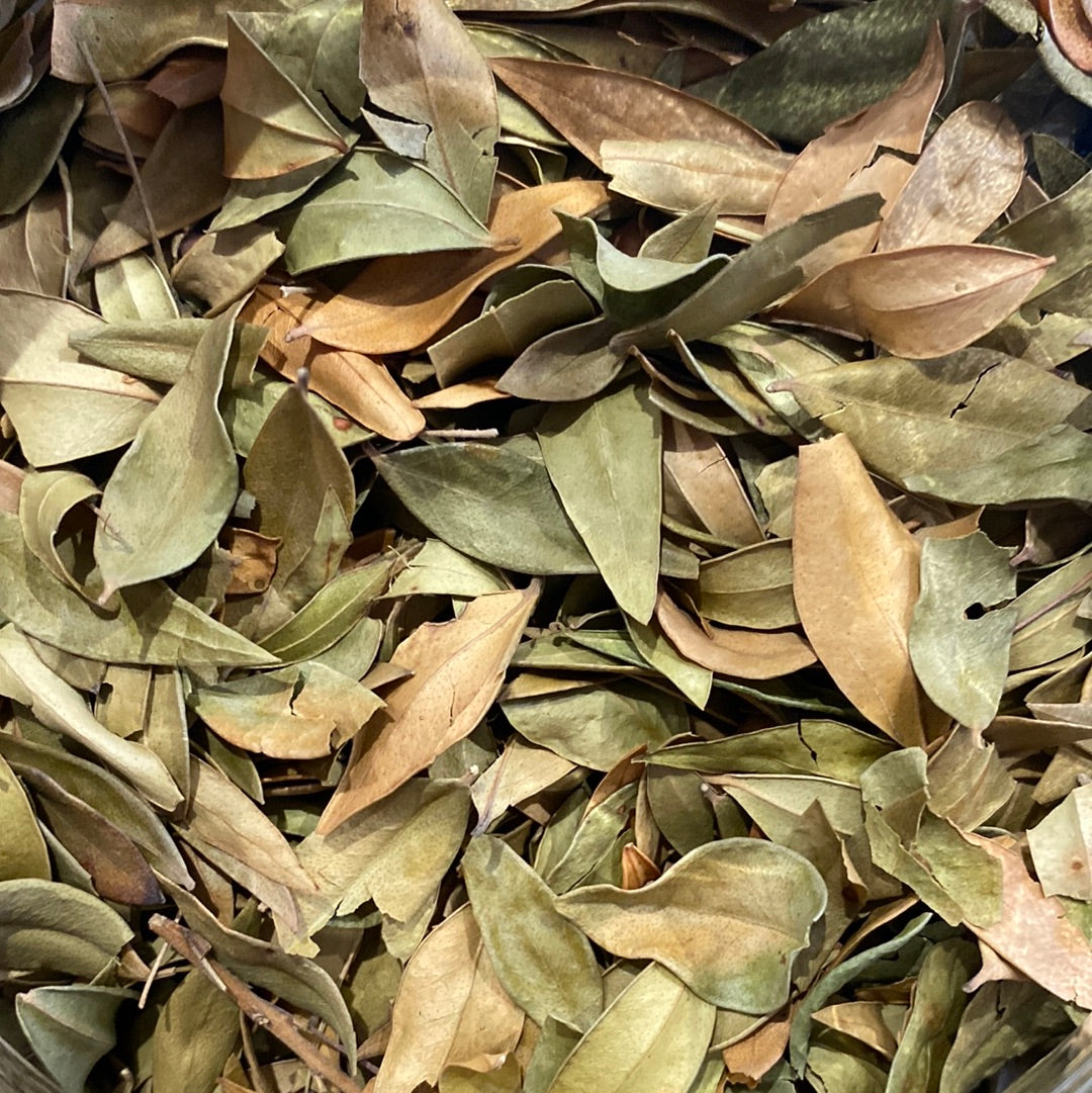 Tisane Myrte Feuille ENTIERE 1 KILO Myrtus Communis