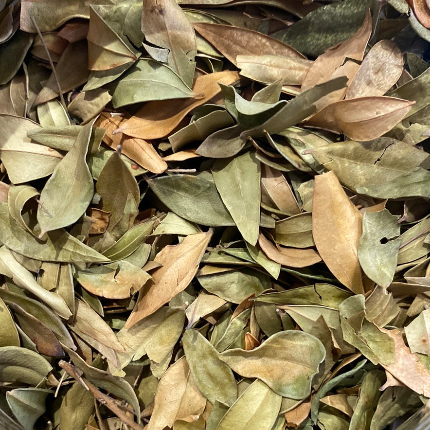 Image for Μυρτιά (Myrtus Communis)