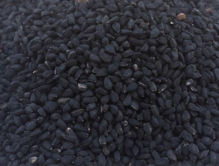 Graines de nigelle cultivée (Nigella Sativa) / Cumin Noir