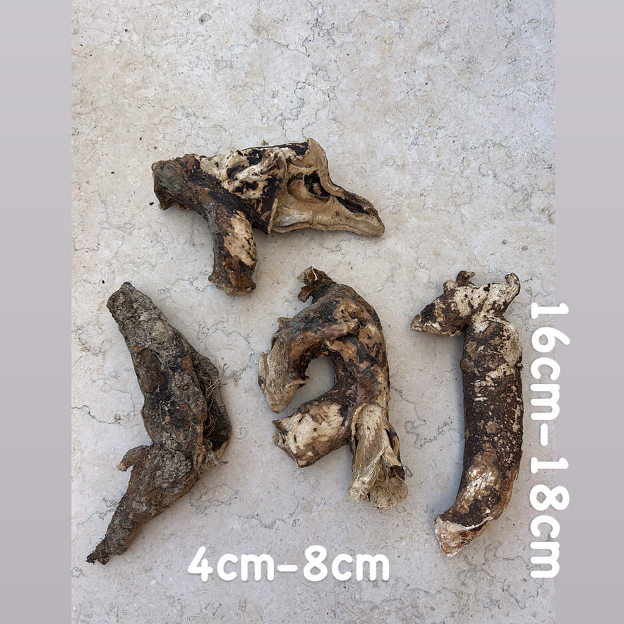 Image for Wild Cretan Mandrake 4 Whole Roots 900gr