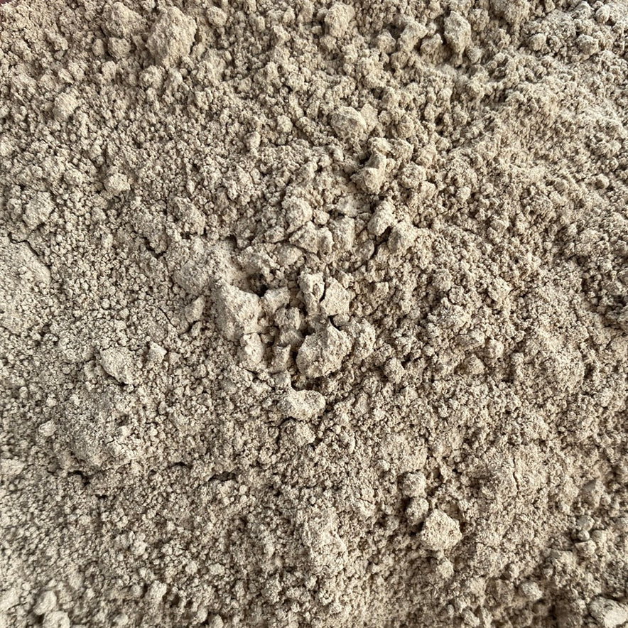 Image for Coriolus Versicolor Mushroom Powder