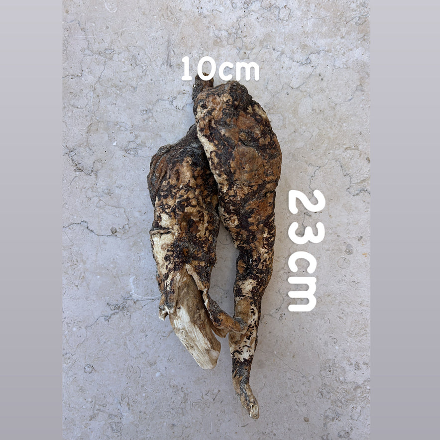 Image for Wild Cretan Mandrake Whole Root 415gr