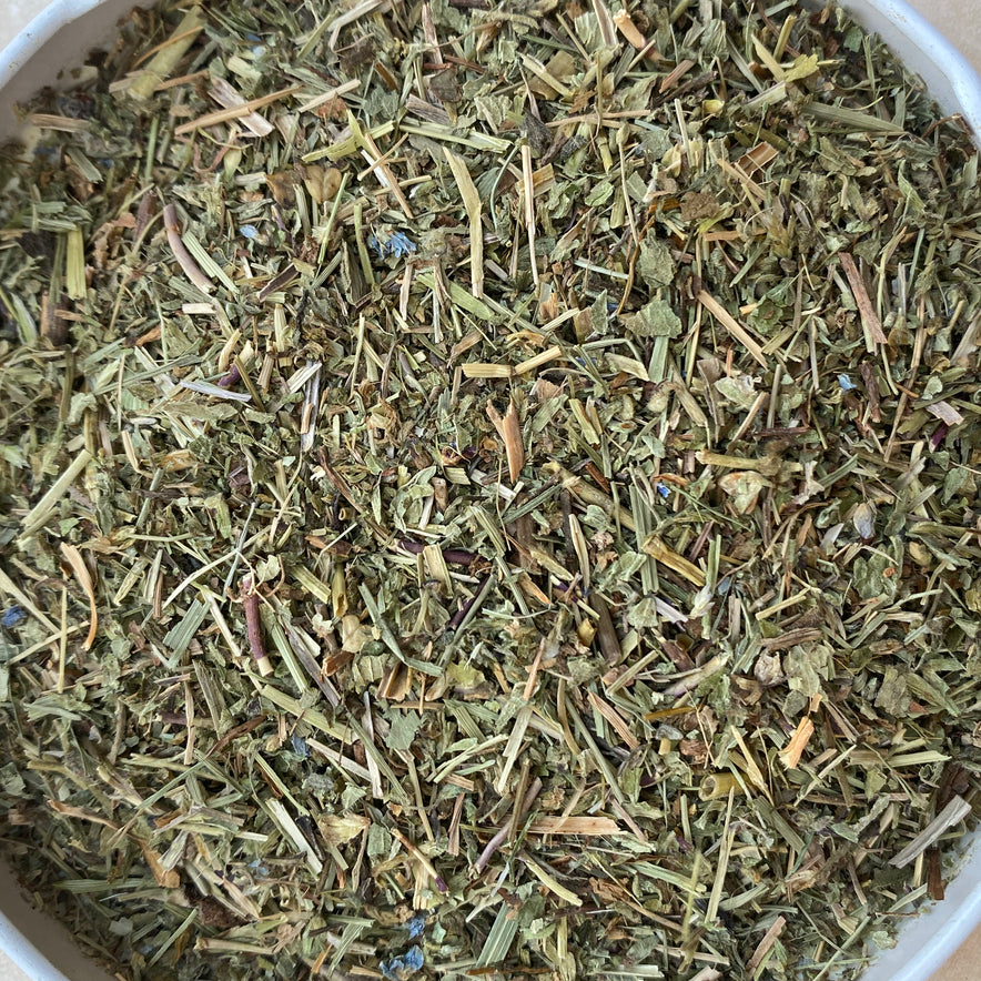 Image for <tc>Véronique/ Herbe-aux-ladres (Veronica Officinalis)</tc>