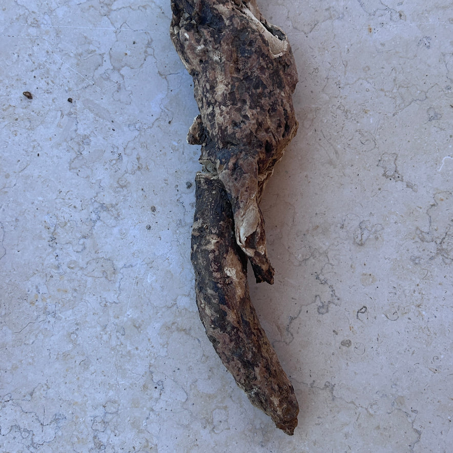 Image for Cretan Mandrake Root Wild (Mandragora Officinarum) Whole root 730 grams