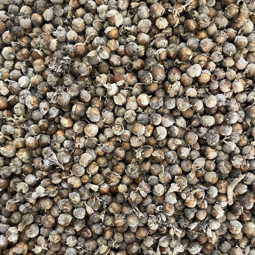 Image for Λιγαριά (Vitex Agnus-Castus)