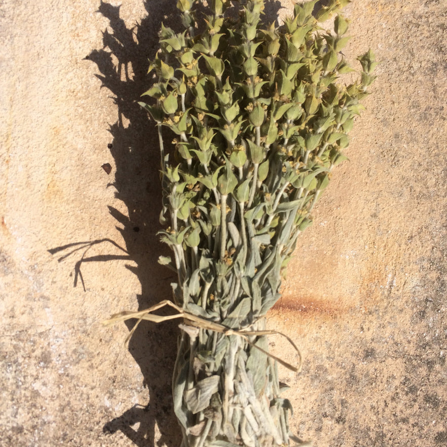 Image for Parnassus Griechischer Bergtee (Sideritis Raeseri Boiss)