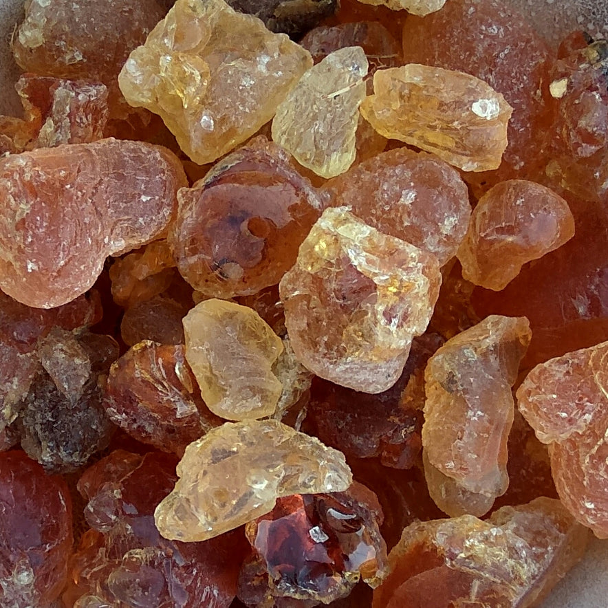 Image for Gummi arabicum