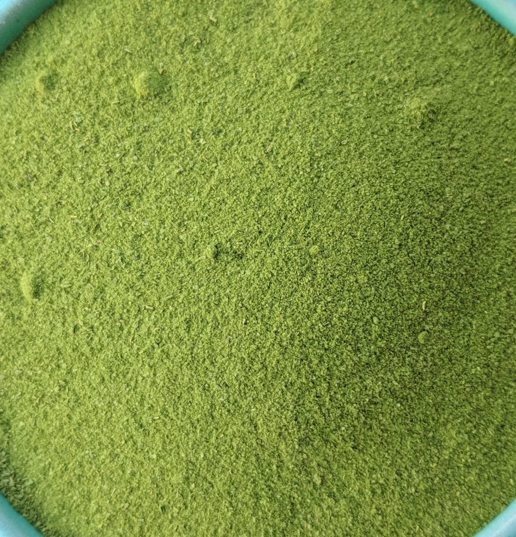 Moringa Powder (Moringa Oleifera) | Our Biodynamic Cultivation