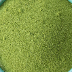 Moringa Powder (Moringa Oleifera) | Our Biodynamic Cultivation