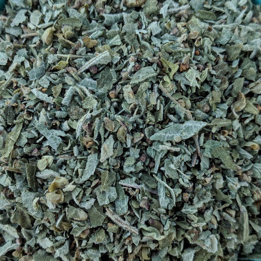 Image for „Vana“ Tulsi / Heiliges Basilikum (Ocimum Gratissimum) | Unser biodynamischer Anbau