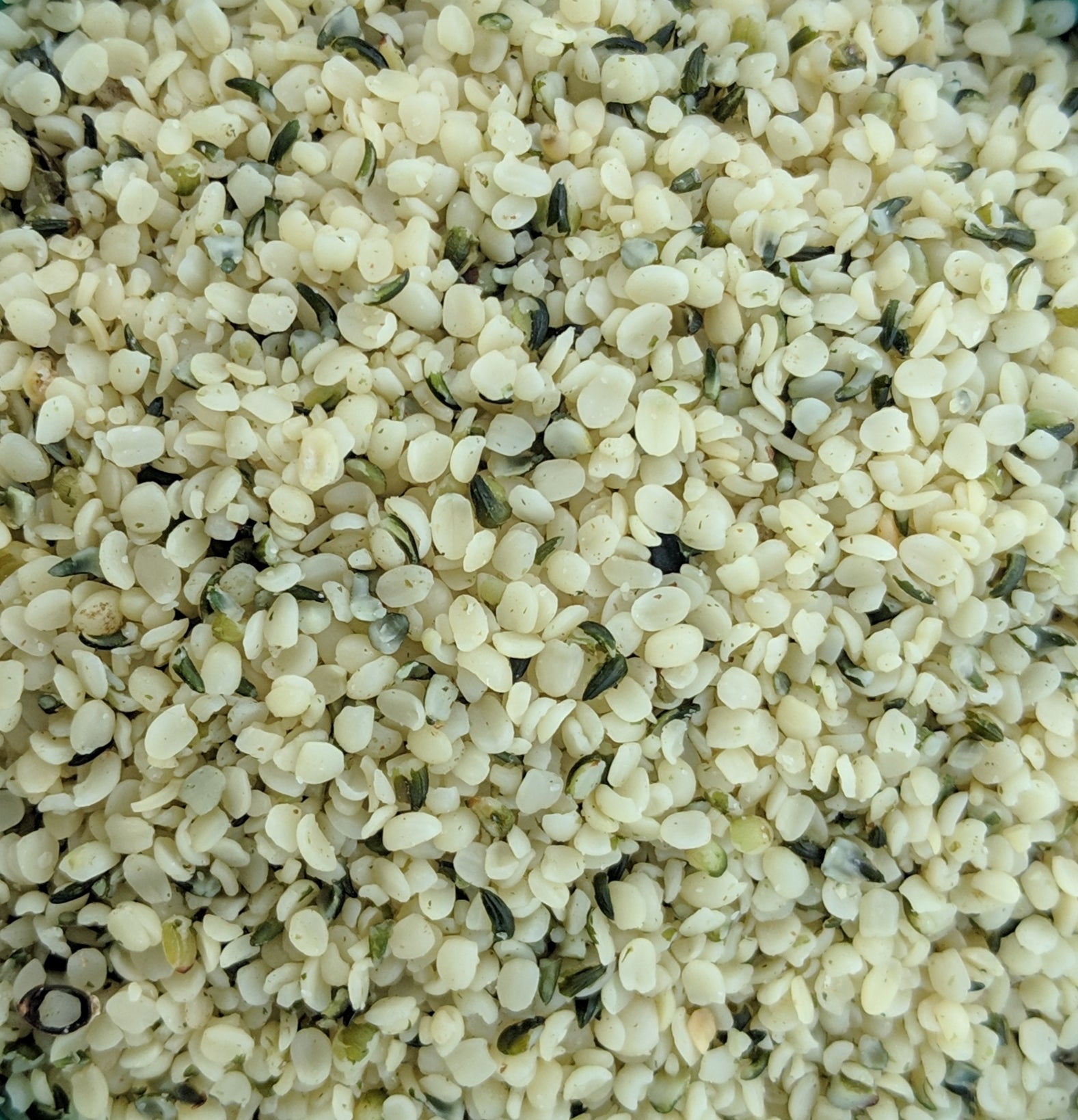 Hemp Seeds  (Cannabis Sativa)