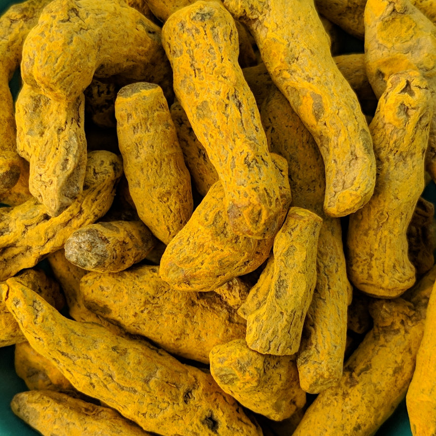 Image for Turmeric Root (Curcuma Longa)