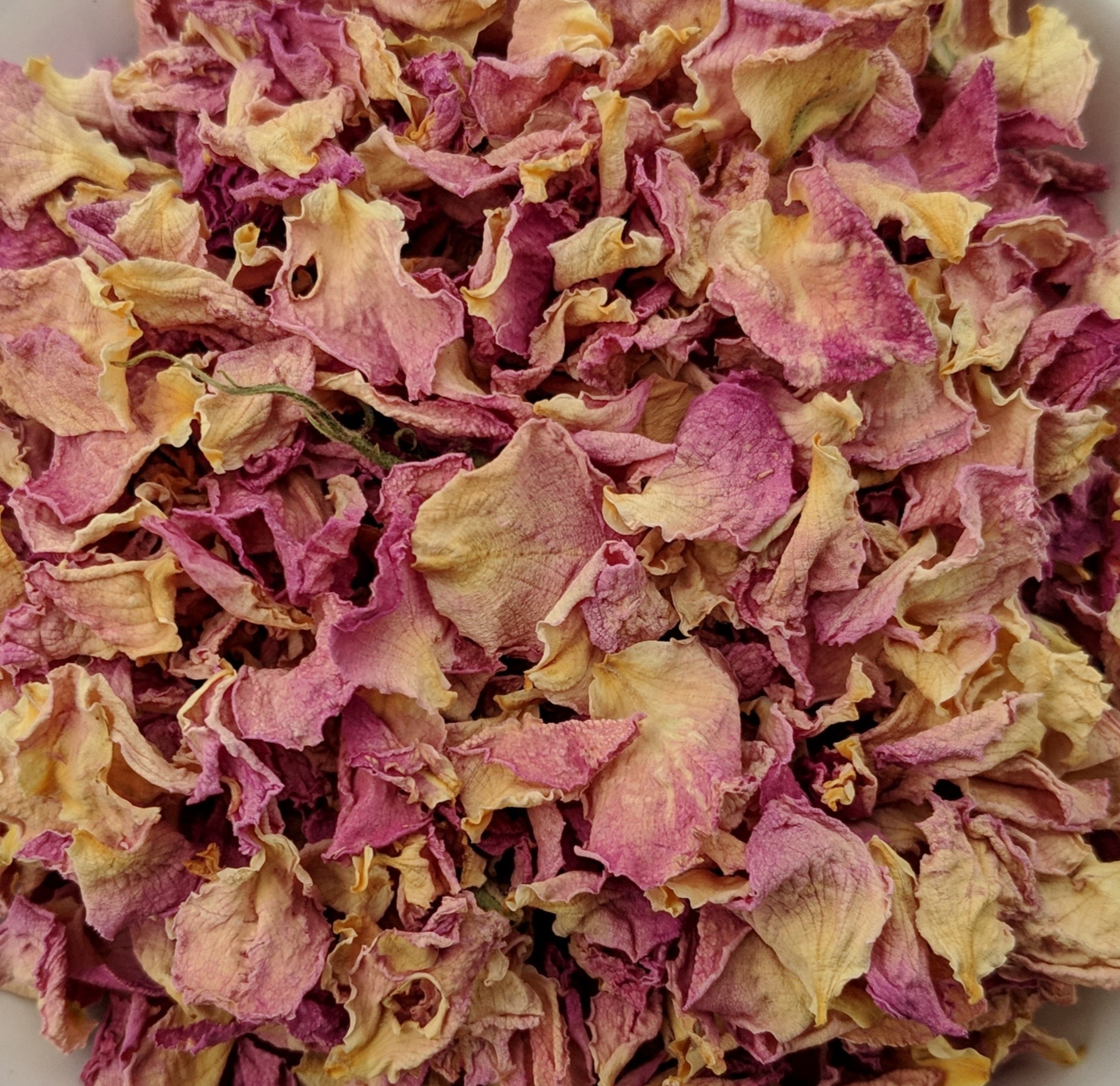 Rose Petals | Organic