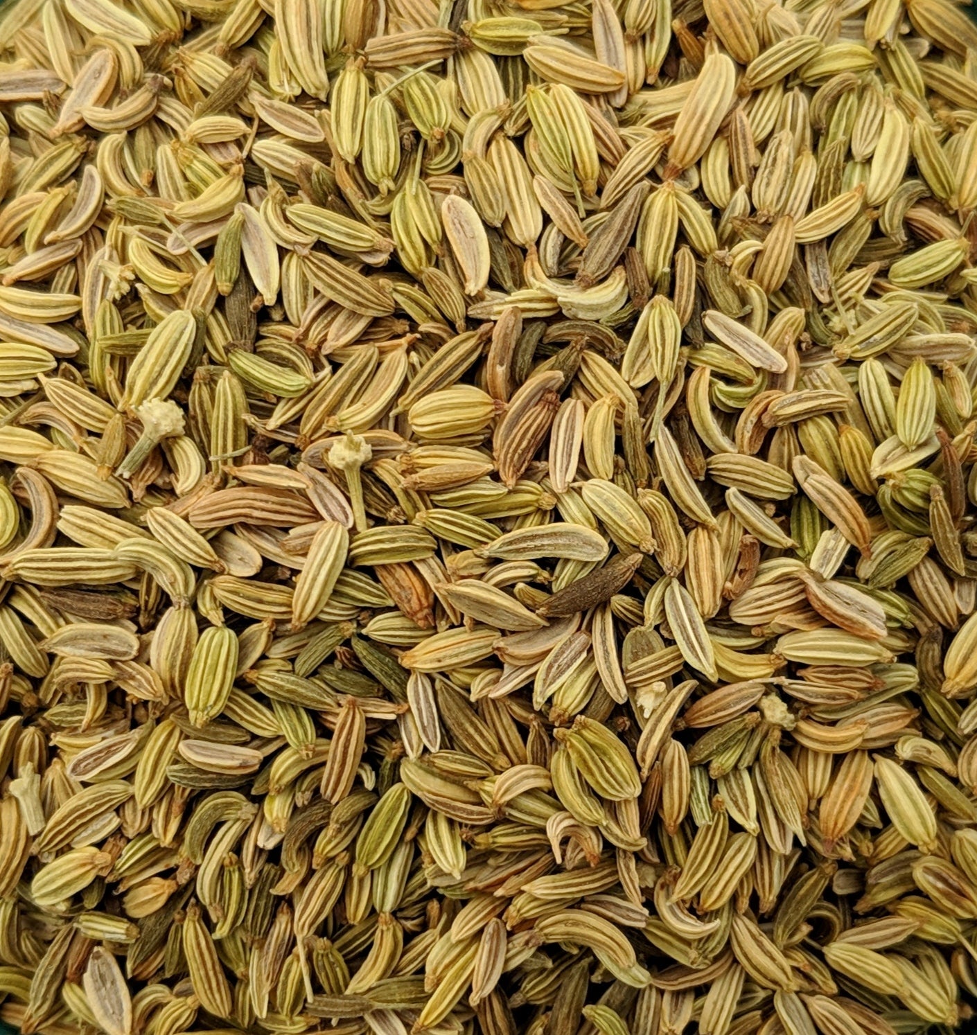 Fennel Seeds (Foeniculum Vulgare) - Organic