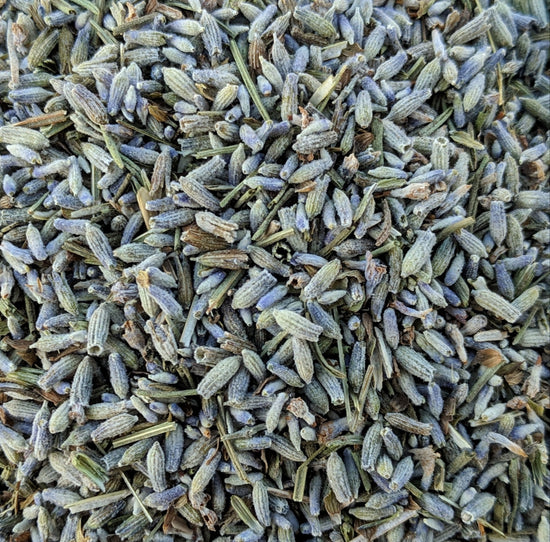 Lavendel (Lavandula officinalis)
