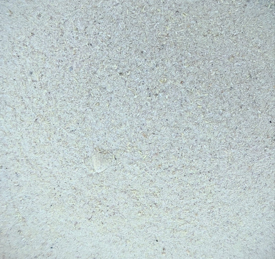 Shatavari-Pulver (Spargel Racemosus) Bio