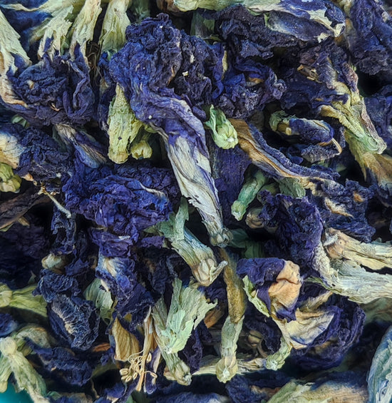 Blaue Schmetterlingserbsenblume (Clitoria Ternatea)