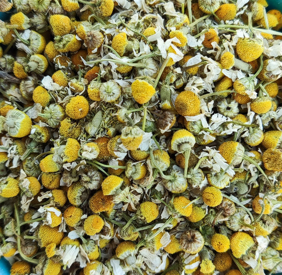 Kamille (Matricaria Chamomilla) Bio