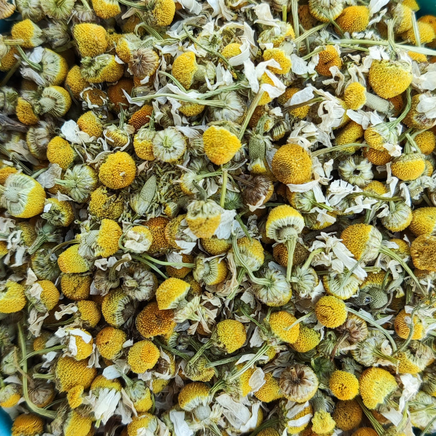 Image for Camomille (Matricaria Chamomilla) | Organique