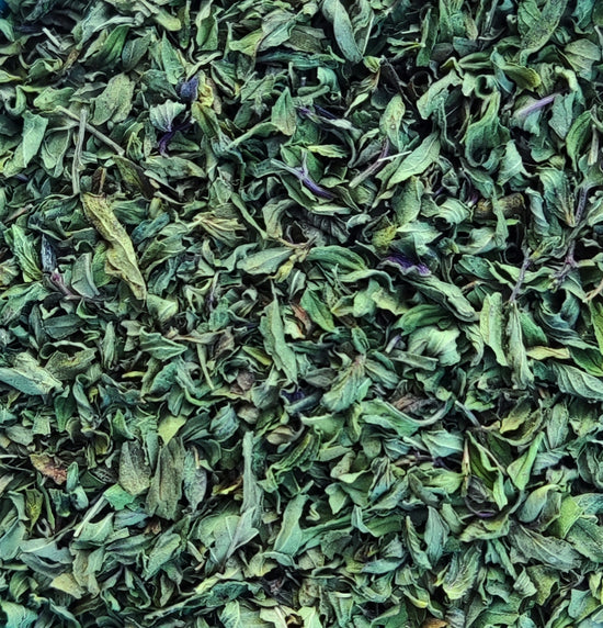 Pfefferminze Bio (Mentha Piperita)