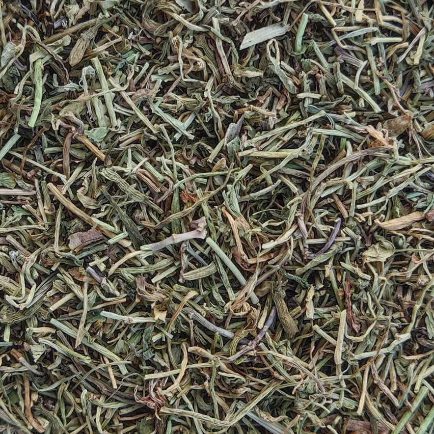 Image for Indian Tobacco (Lobelia Inflata)