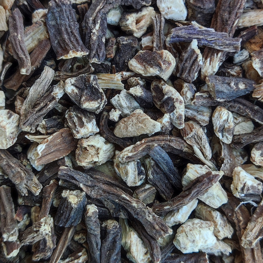 Image for Αγγελική Ρίζα (Archangelica Officinalis)