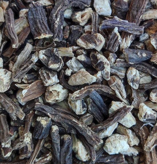 Angelica Root (Archangelica Officinalis)
