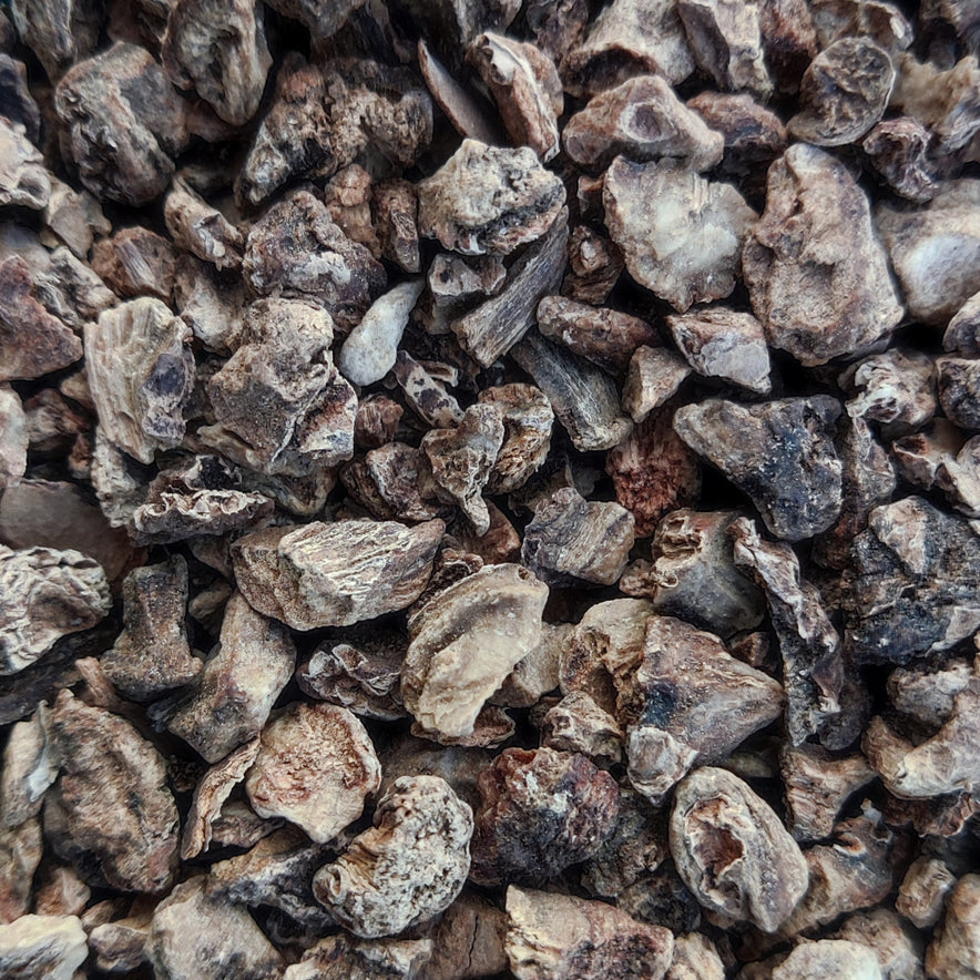 Image for Devil's Claw Root (Harpagophytum Procumbens)