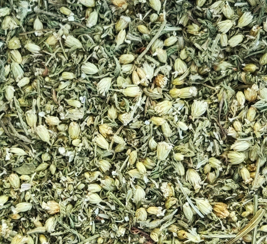 Schafgarbe (Achillea Millefolium) | Unser biodynamischer Anbau