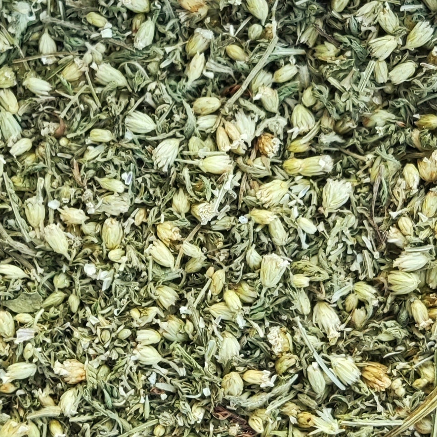 Image for Yarrow (Achillea Millefolium)I Our Biodynamic Cultivation