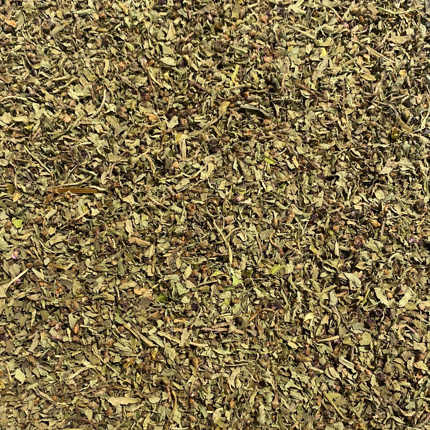 Image for « Kapoor » Tulsi / Basilic sacré | Notre culture biodynamique (Ocimum Sanctum)