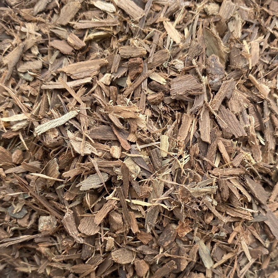 Image for Jamaikanischer Hartriegel (Piscidia Piscipula / Piscidia Erythrina)