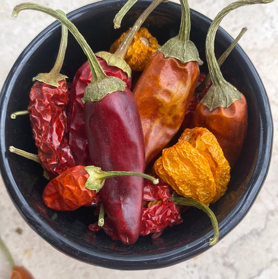 Piments « Botano Chili Mix » | Biodynamie