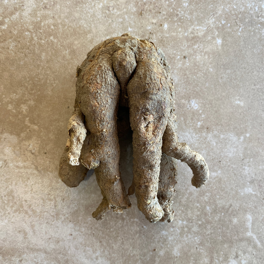 Image for Wild Cretan Mandrake Whole Root 275gr