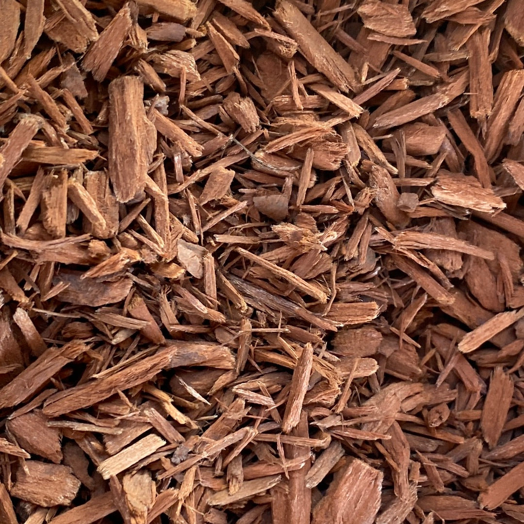 Yohimbe (Pausinystalia Yohimbe)