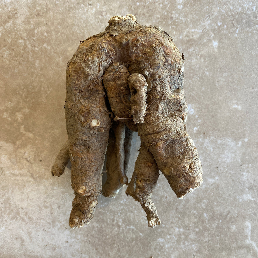 Image for Wild Cretan Mandrake Whole Root 275gr