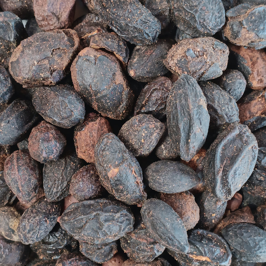 Image for Baies de palmier nain (Serenoa Repens)