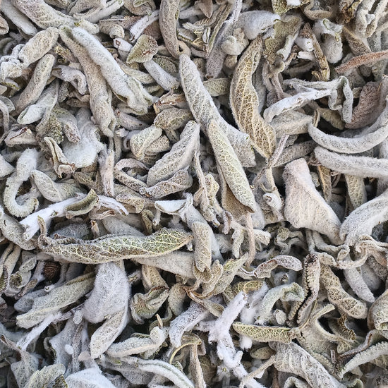 Cretan Sage (Salvia Fruticosa/Triloba) | Our Biodynamic Cultivation