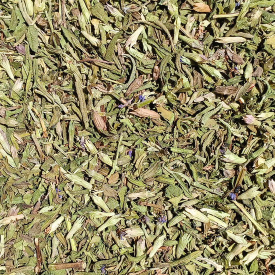 Ysop (Hyssopus officinalis)