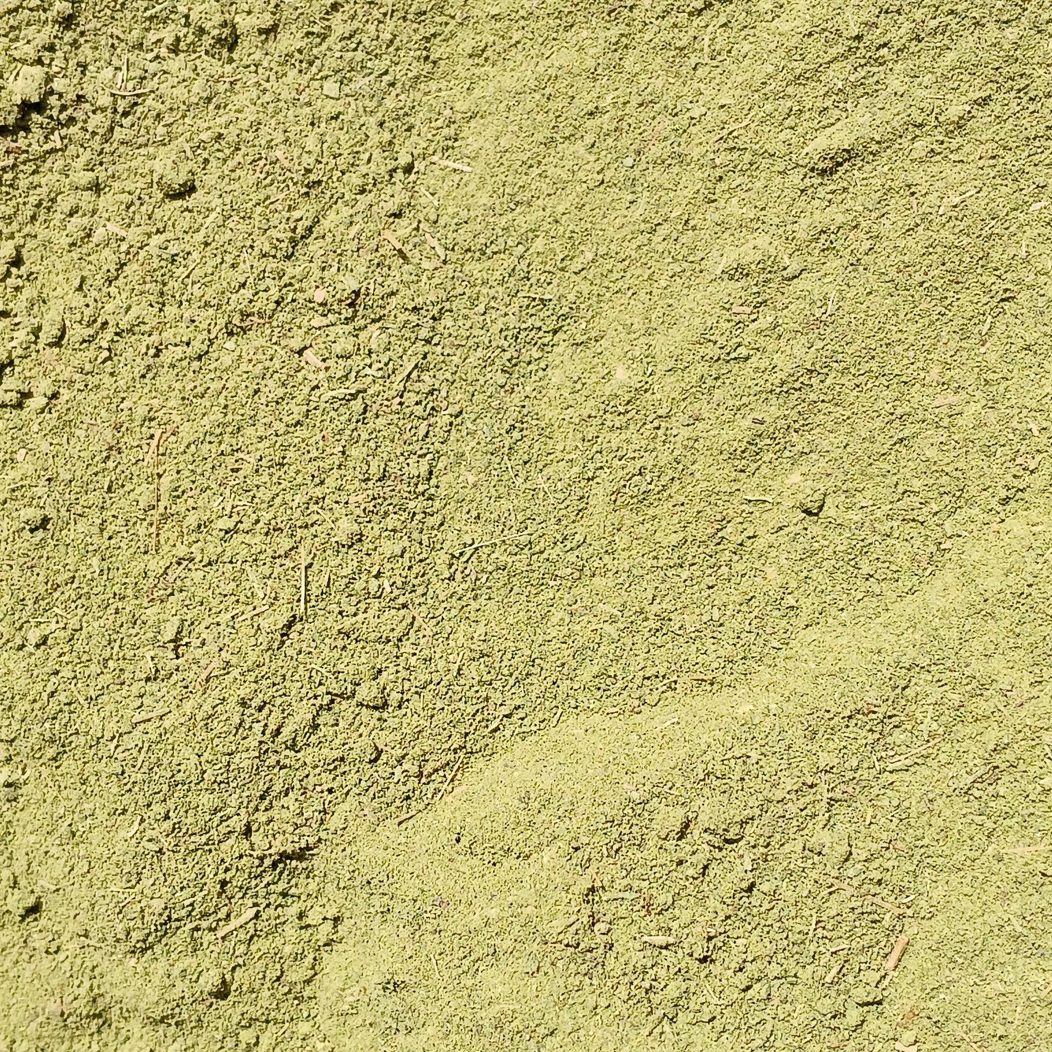 Pulver aus Stevia-Blättern